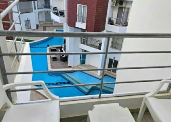 In Aqua Palms *